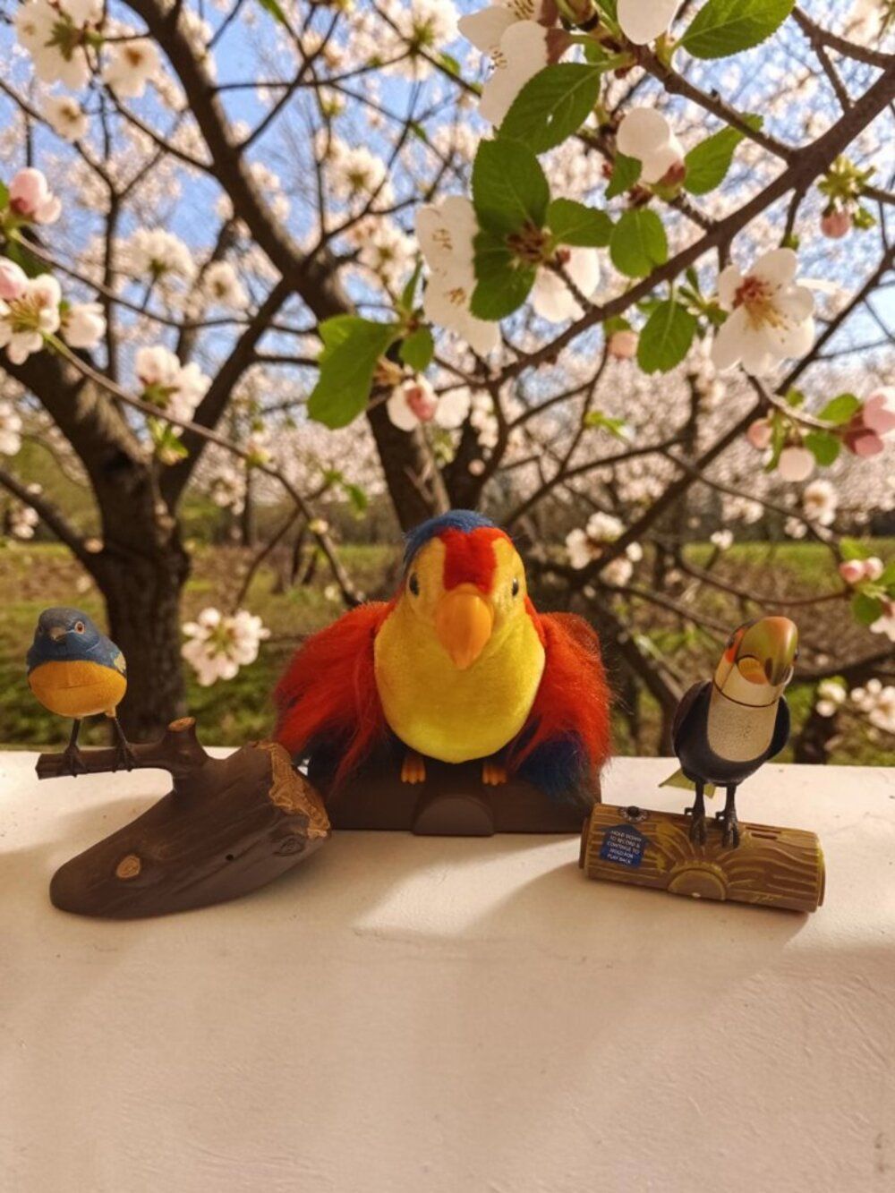 1991 GEMMY Pete the RePeat Talking Parrot Working + 2 Singing Birds